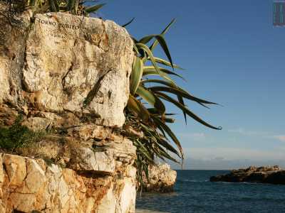 Dopo qualche passo ecco l� la scritta: si trova sulla sommit� di un costone di roccia ricoperto da macchia mediterranea